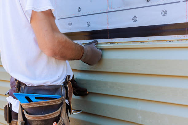 Affordable Siding Repair solutions in Forest Lake, IL